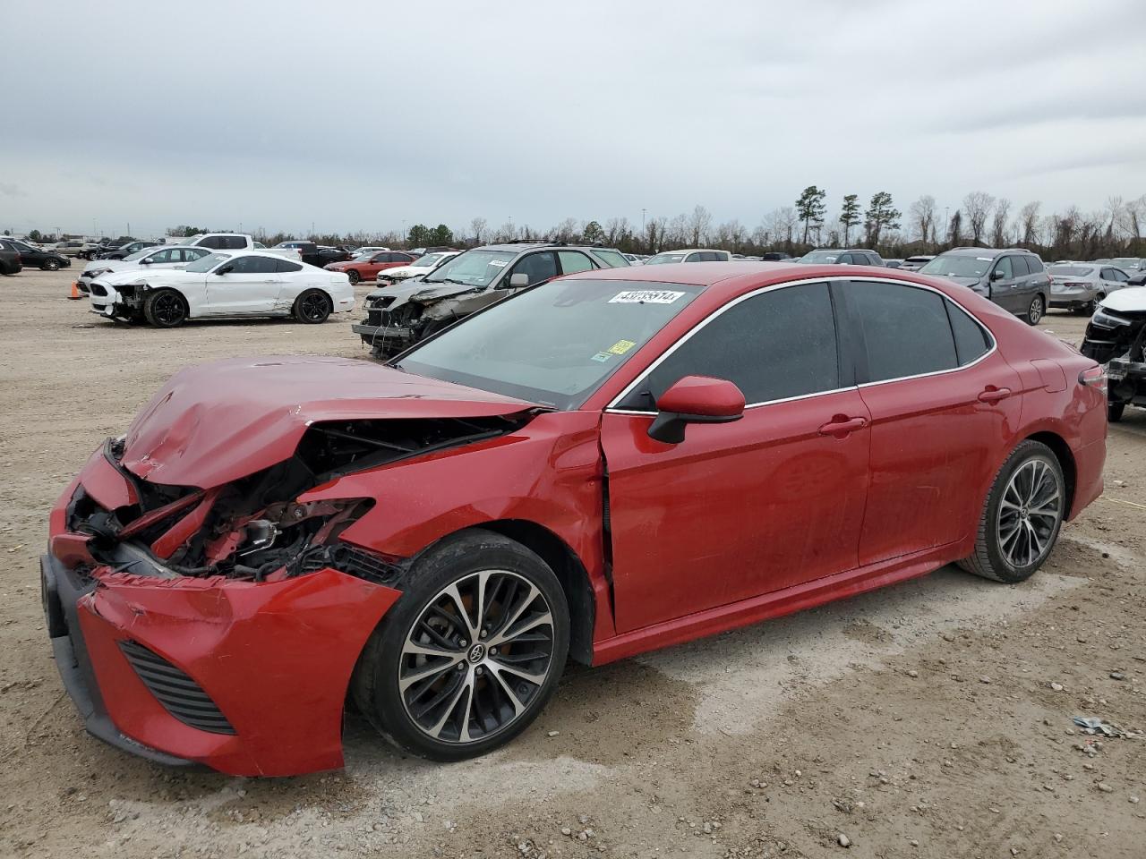 TOYOTA CAMRY 2019 4t1b11hk2ku195656