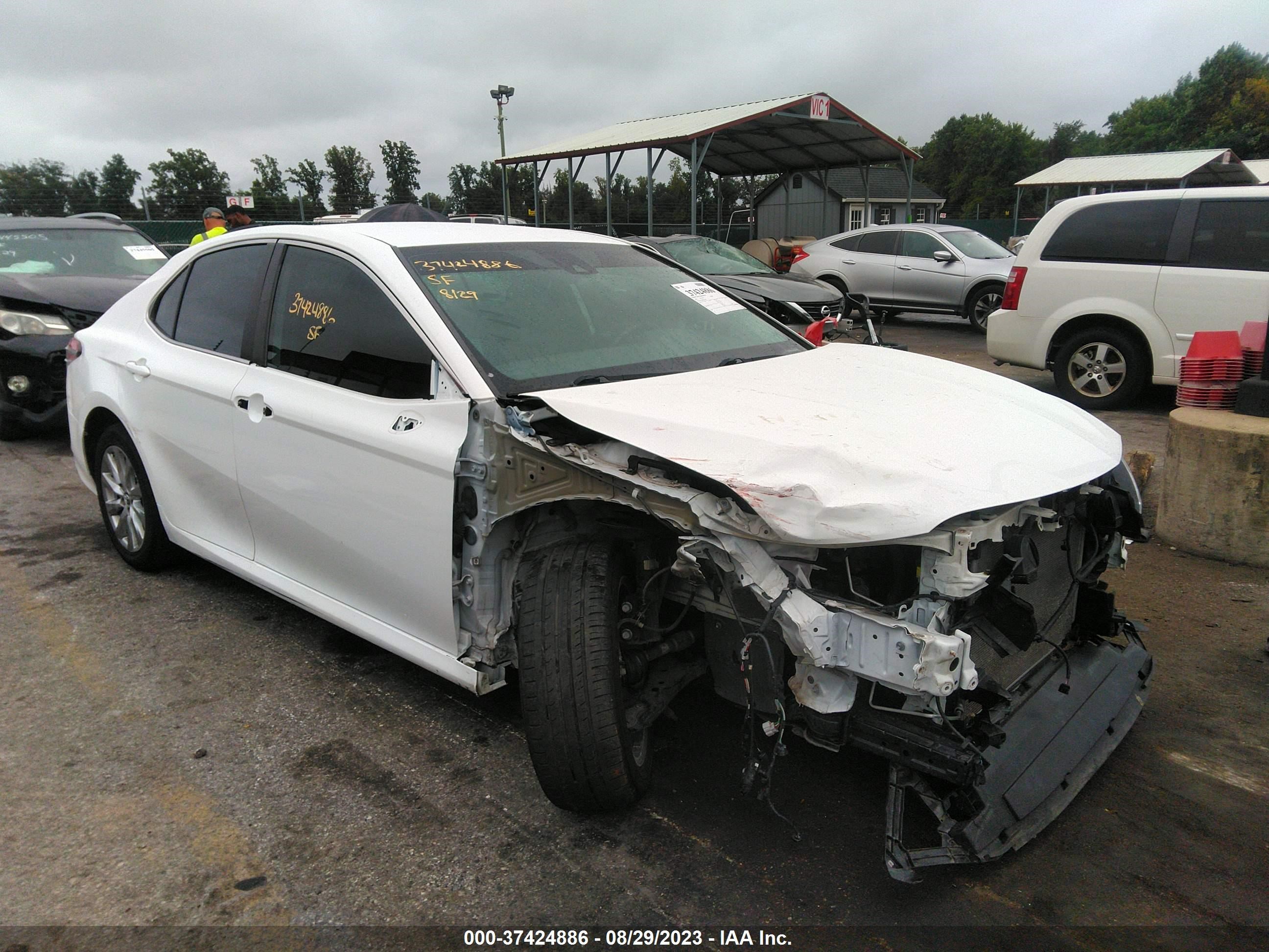 TOYOTA CAMRY 2019 4t1b11hk2ku230597