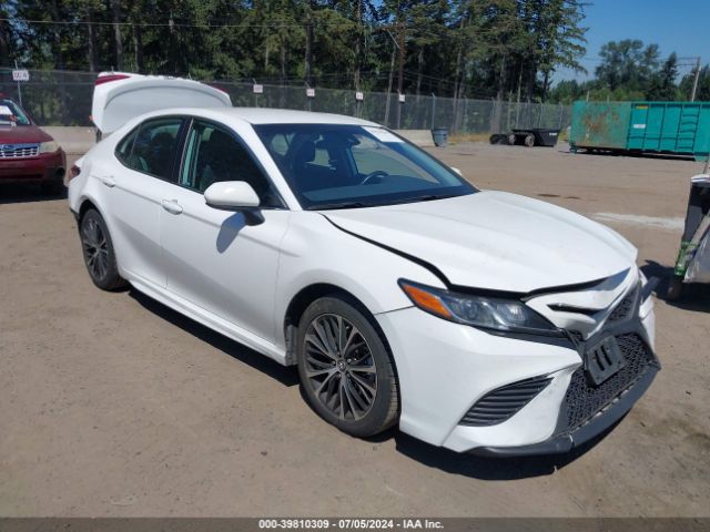 TOYOTA CAMRY 2019 4t1b11hk2ku698992