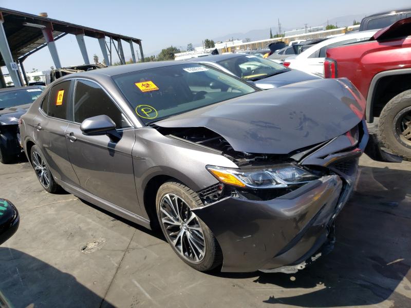 TOYOTA CAMRY L 2019 4t1b11hk2ku708341