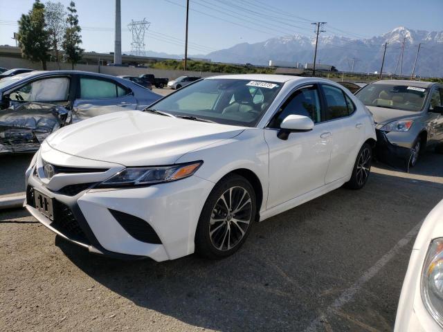 TOYOTA CAMRY L/LE 2019 4t1b11hk2ku727195