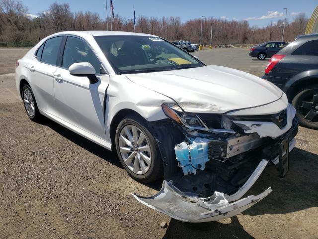 TOYOTA CAMRY LE 2019 4t1b11hk2ku770869