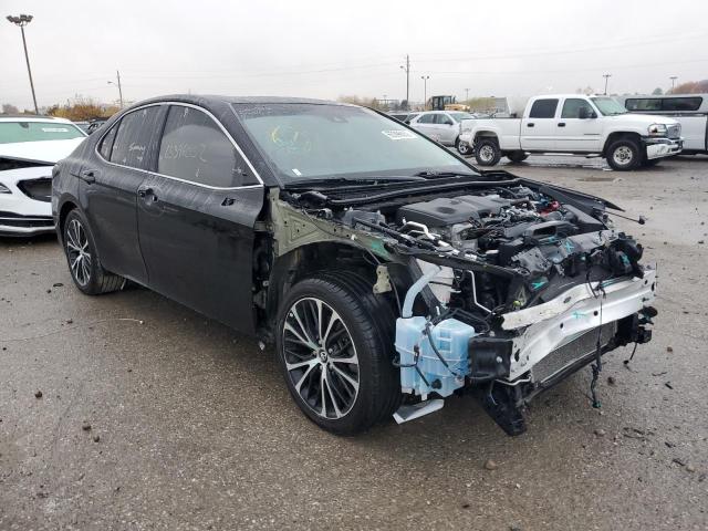 TOYOTA CAMRY L-LE 2019 4t1b11hk2ku773819