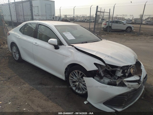 TOYOTA CAMRY 2019 4t1b11hk3ku164321