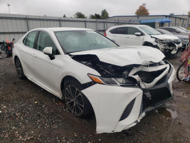 TOYOTA CAMRY L 2019 4t1b11hk3ku194371