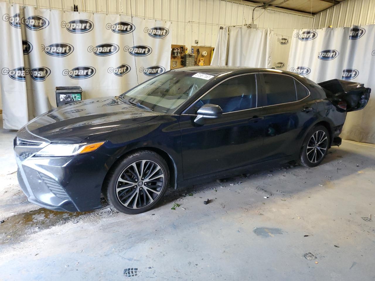 TOYOTA CAMRY 2019 4t1b11hk3ku296138