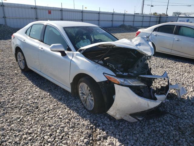 TOYOTA CAMRY L 2019 4t1b11hk3ku682879