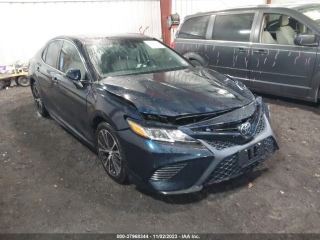 TOYOTA CAMRY 2019 4t1b11hk3ku691355