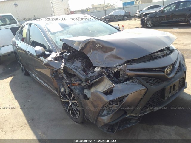 TOYOTA CAMRY 2019 4t1b11hk3ku733362