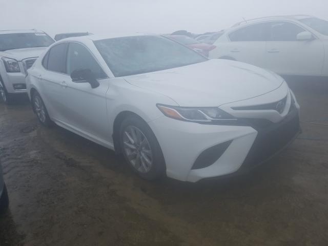 TOYOTA CAMRY L 2019 4t1b11hk3ku768645