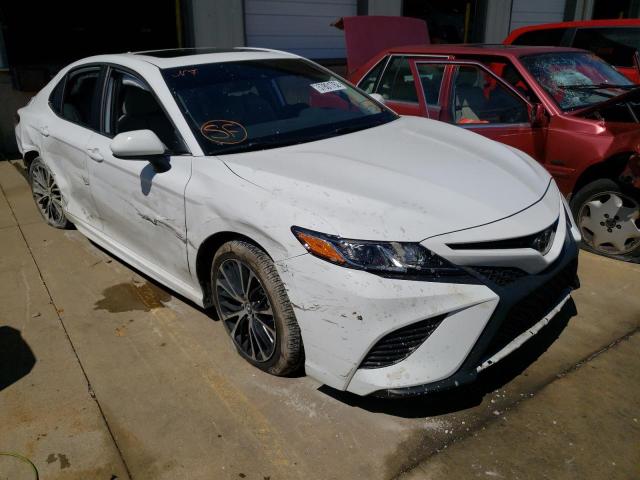 TOYOTA CAMRY L 2019 4t1b11hk3ku770427