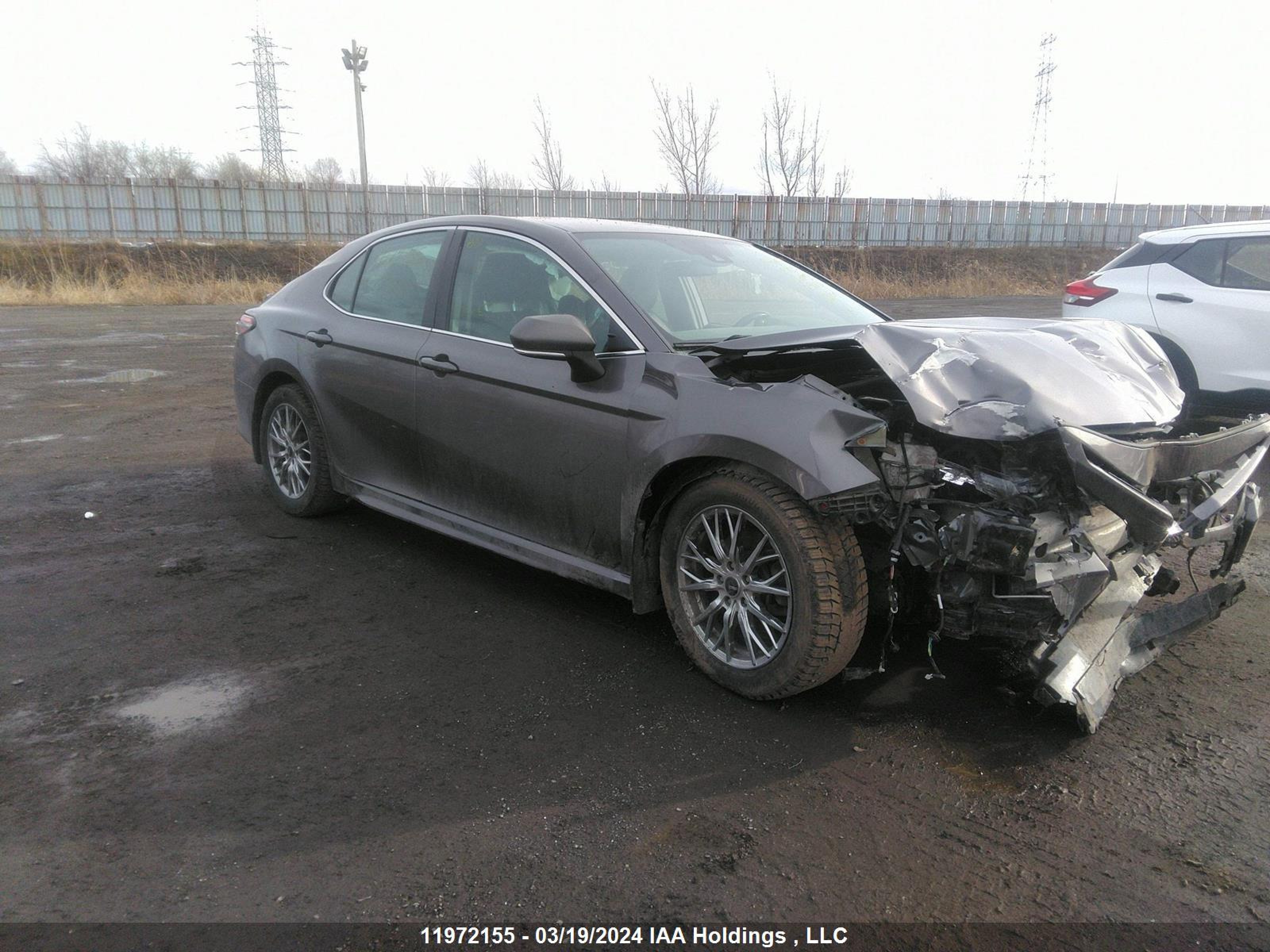 TOYOTA CAMRY 2019 4t1b11hk3ku773070