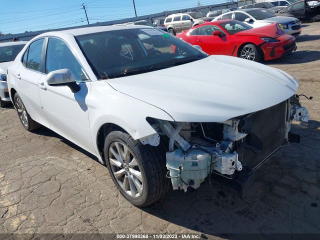 TOYOTA CAMRY 2019 4t1b11hk3ku819240