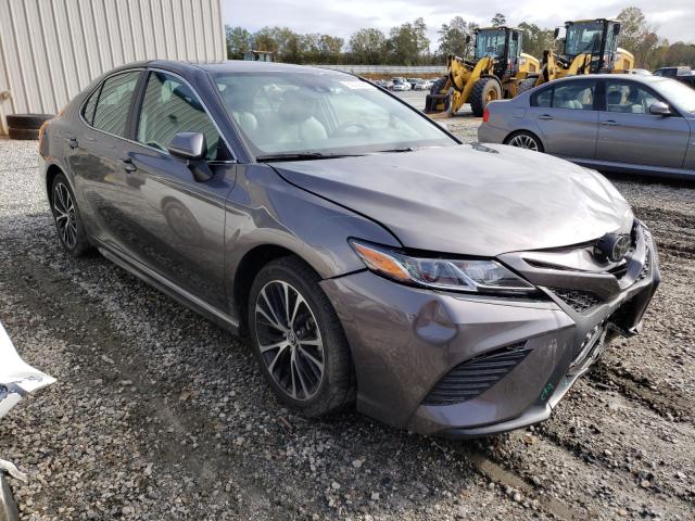 TOYOTA CAMRY L 2019 4t1b11hk3ku830237