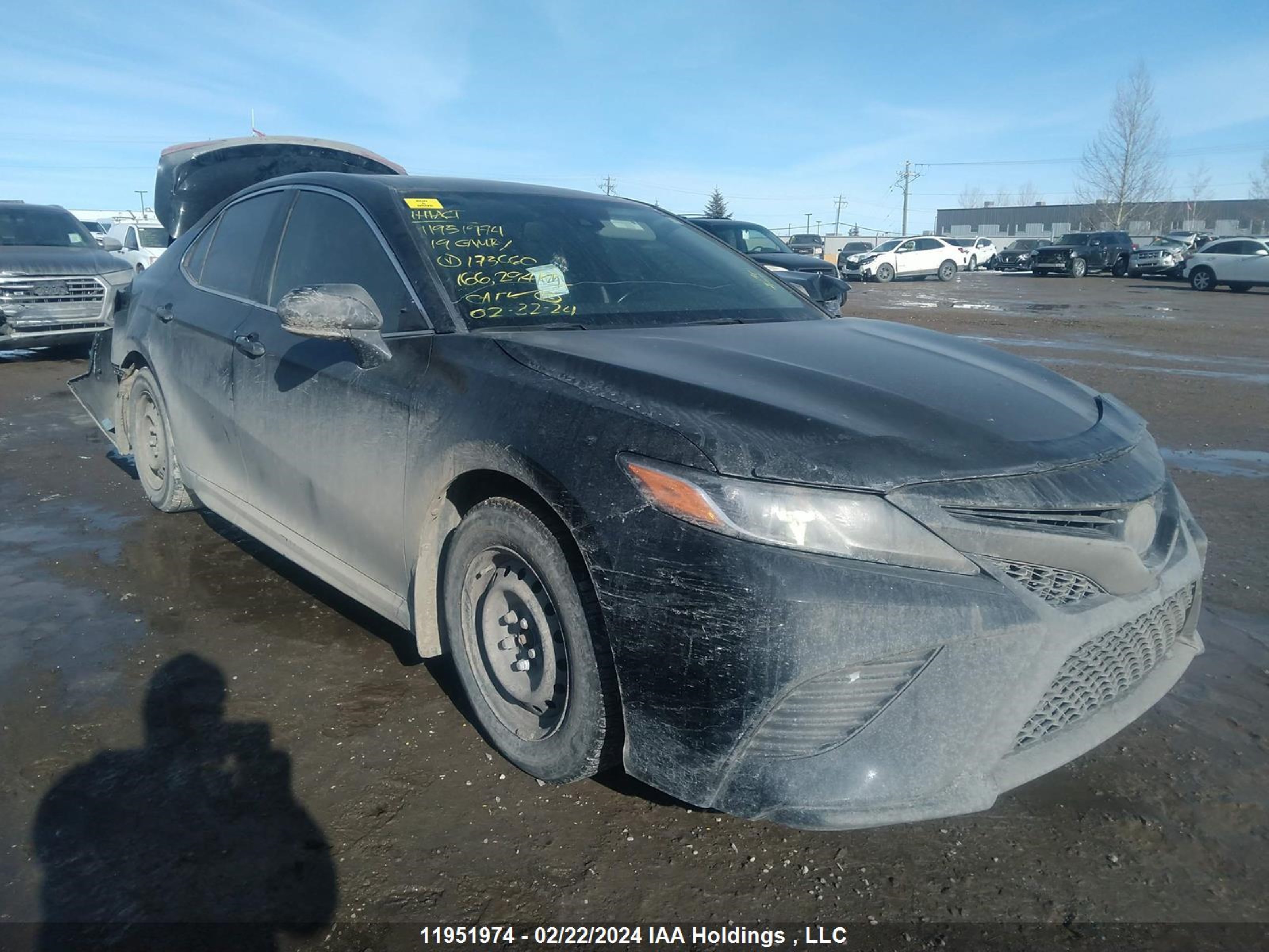 TOYOTA CAMRY 2019 4t1b11hk4ku173660