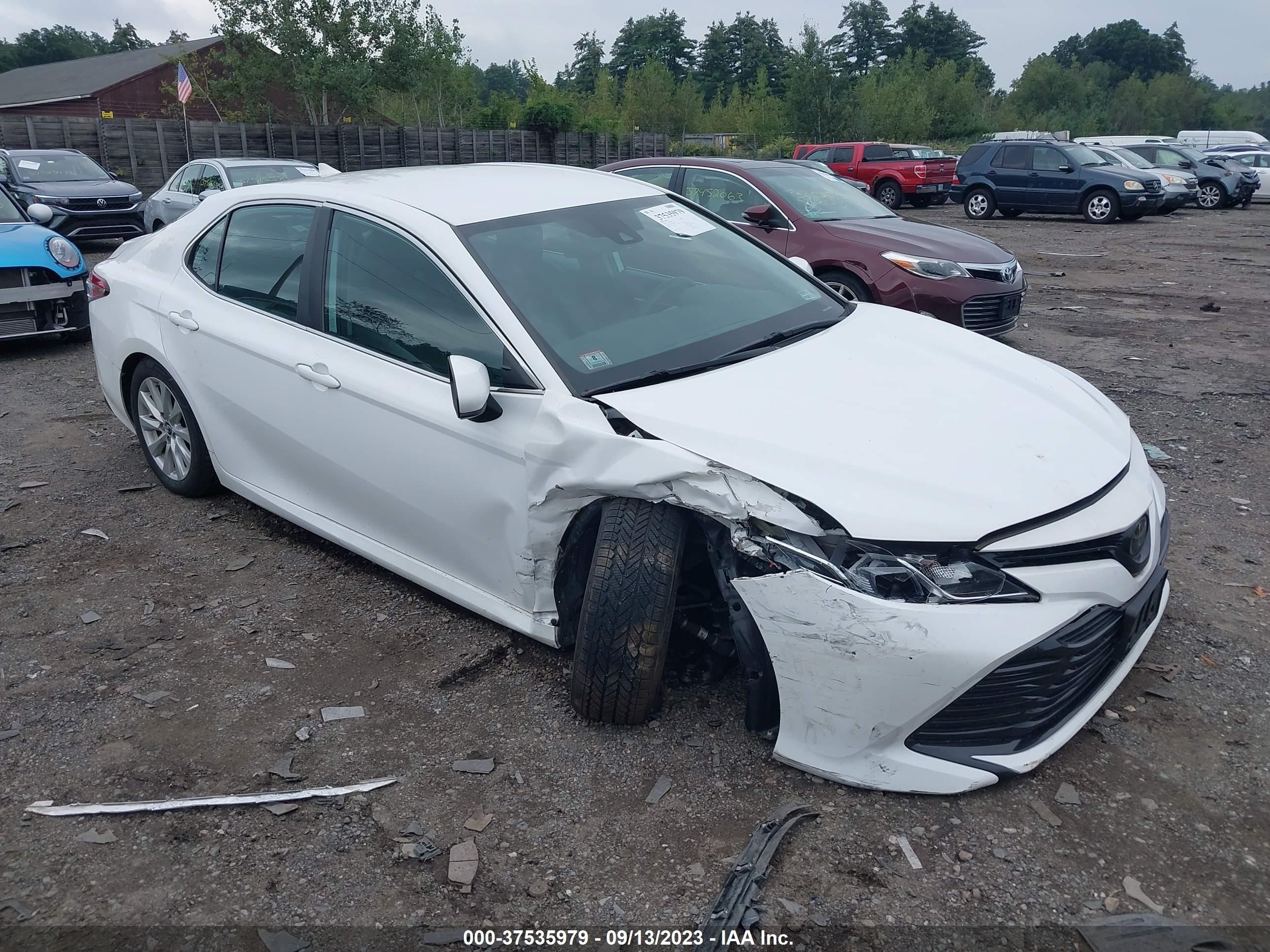 TOYOTA CAMRY 2019 4t1b11hk4ku219987