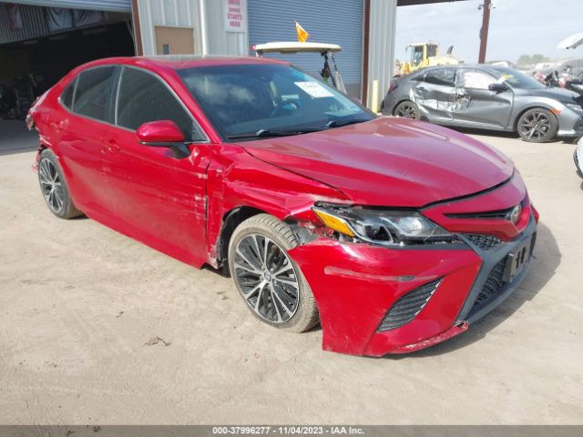 TOYOTA CAMRY 2019 4t1b11hk4ku274116