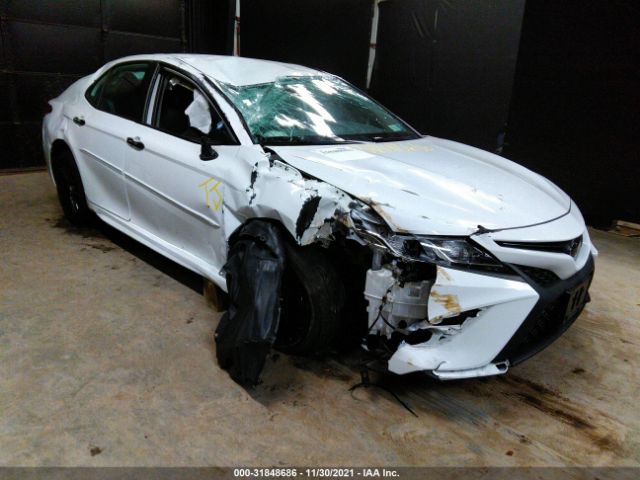 TOYOTA CAMRY 2019 4t1b11hk4ku275816