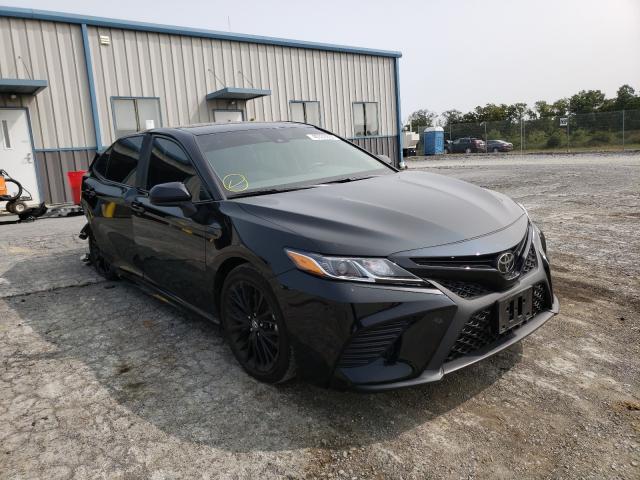 TOYOTA CAMRY L 2019 4t1b11hk4ku287920