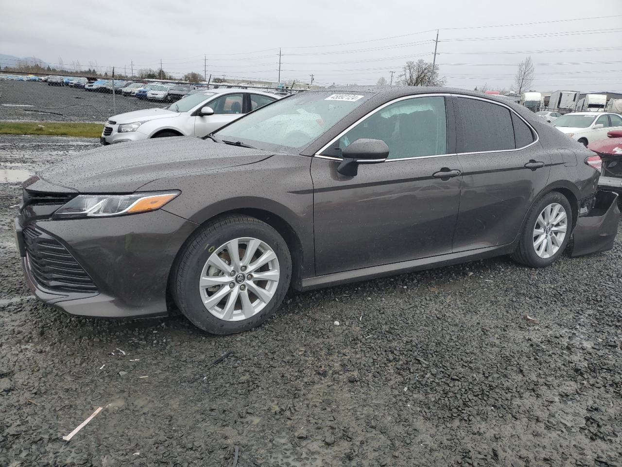 TOYOTA CAMRY 2019 4t1b11hk4ku689212