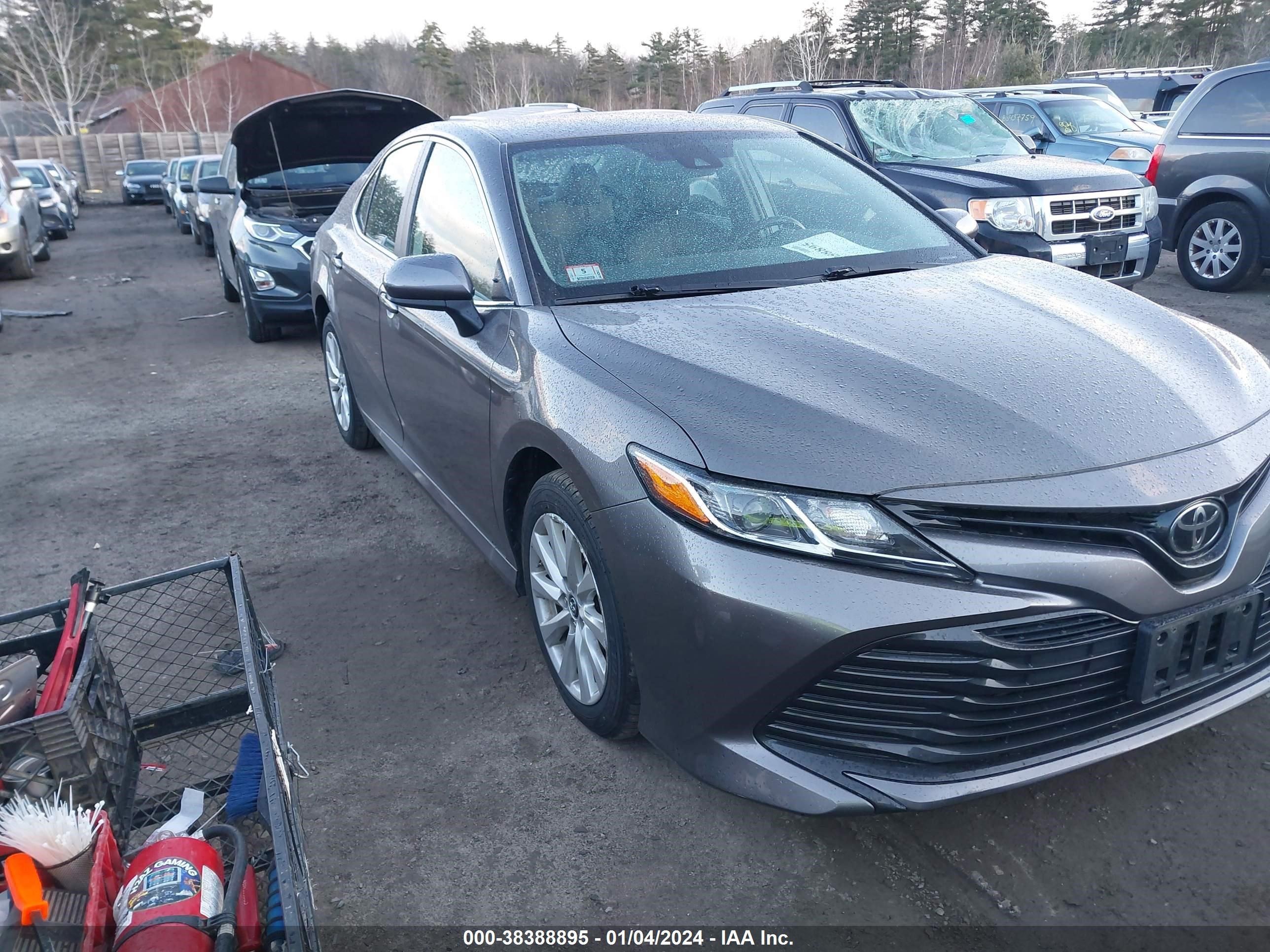 TOYOTA CAMRY 2019 4t1b11hk4ku699481