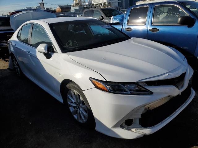 TOYOTA CAMRY L 2019 4t1b11hk4ku760389