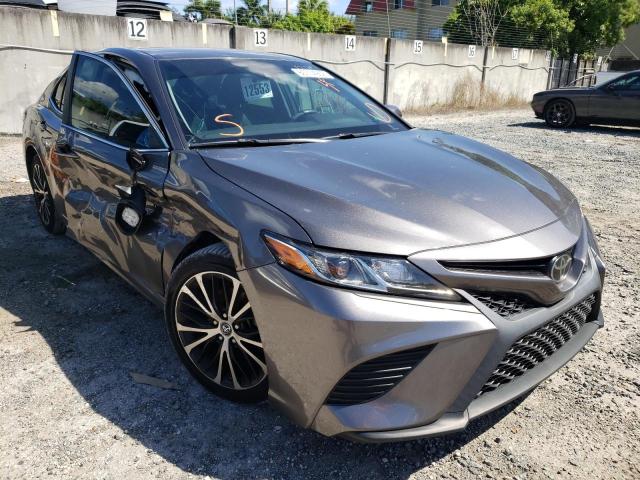 TOYOTA CAMRY L 2019 4t1b11hk4ku791349