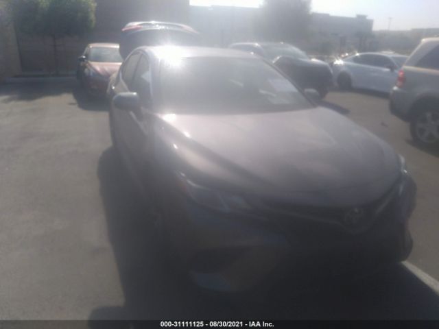 TOYOTA CAMRY 2019 4t1b11hk4ku803502