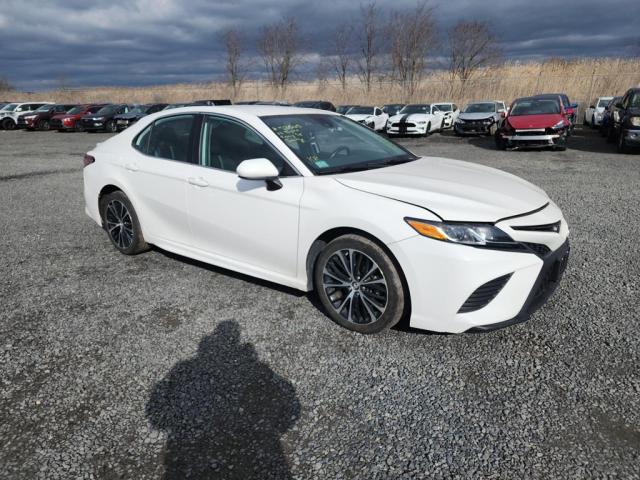 TOYOTA CAMRY L 2019 4t1b11hk5ku175160