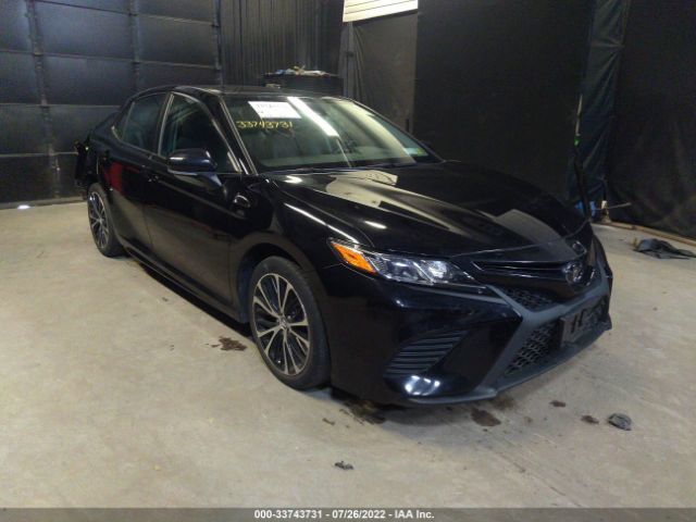 TOYOTA CAMRY 2019 4t1b11hk5ku178317