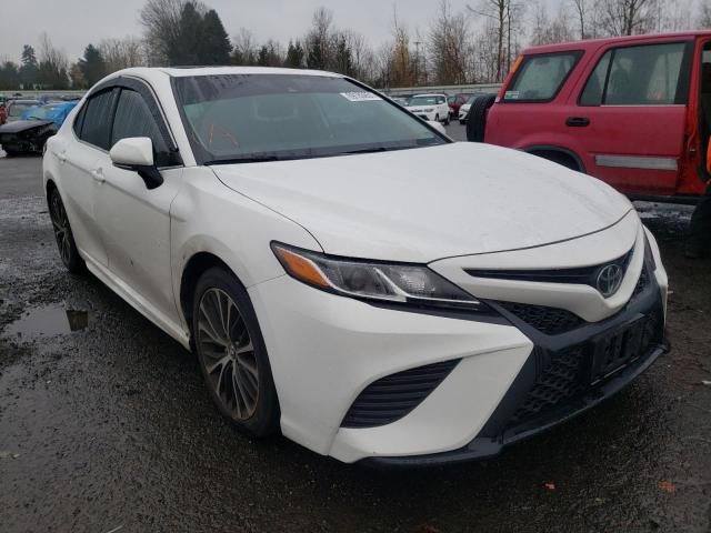 TOYOTA CAMRY L 2019 4t1b11hk5ku208626