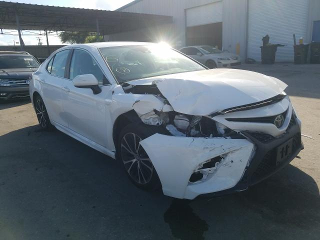 TOYOTA CAMRY L 2019 4t1b11hk5ku219870