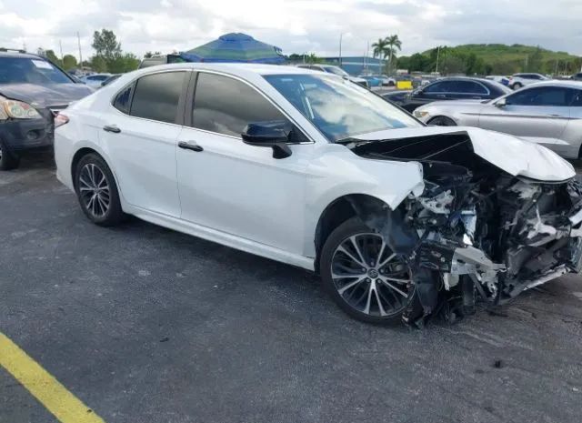 TOYOTA CAMRY 2019 4t1b11hk5ku222073