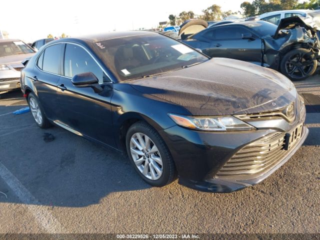 TOYOTA CAMRY 2019 4t1b11hk5ku240864