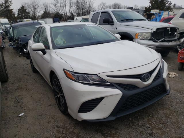 TOYOTA CAMRY L 2019 4t1b11hk5ku262198