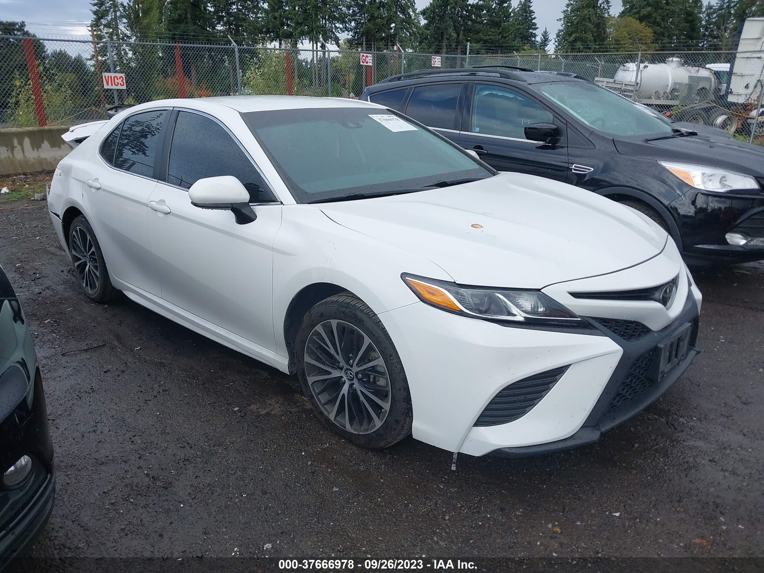 TOYOTA CAMRY 2019 4t1b11hk5ku265585