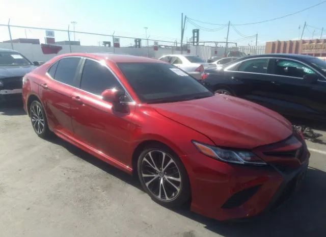 TOYOTA CAMRY 2019 4t1b11hk5ku284993