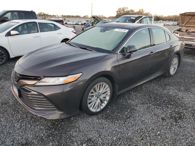 TOYOTA CAMRY L 2019 4t1b11hk5ku296299