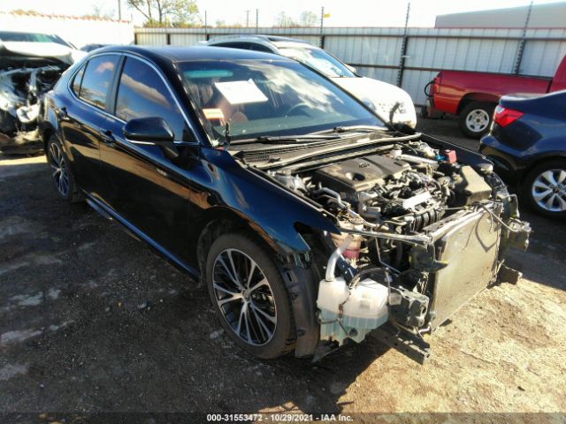 TOYOTA CAMRY 2019 4t1b11hk5ku716305