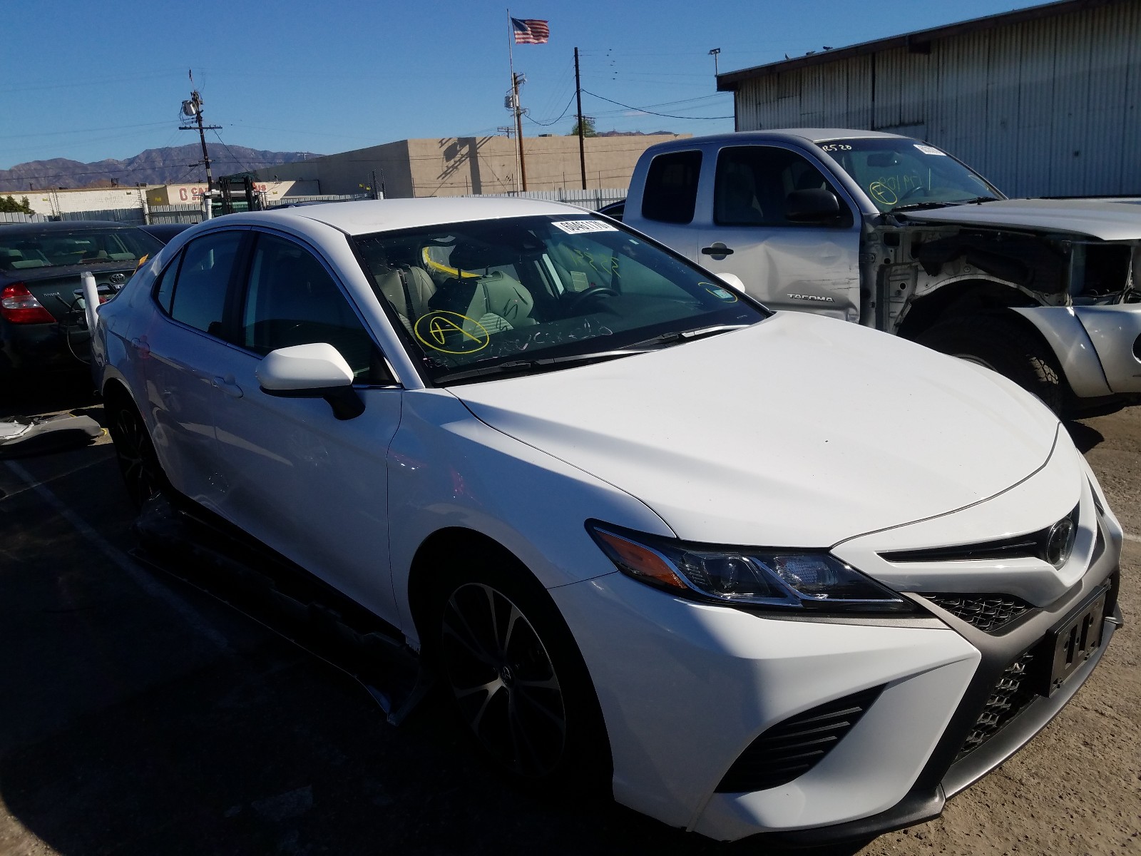 TOYOTA CAMRY L 2019 4t1b11hk5ku731046