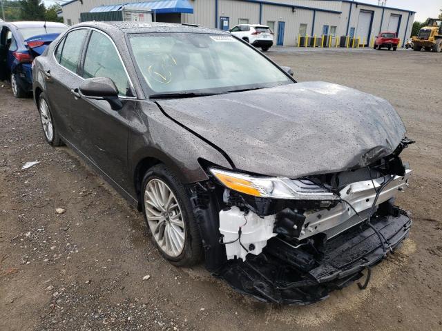 TOYOTA CAMRY L 2019 4t1b11hk5ku732665