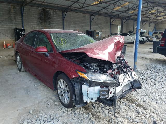 TOYOTA CAMRY L 2019 4t1b11hk5ku740779