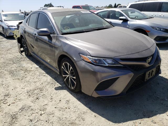 TOYOTA CAMRY L 2019 4t1b11hk5ku760837