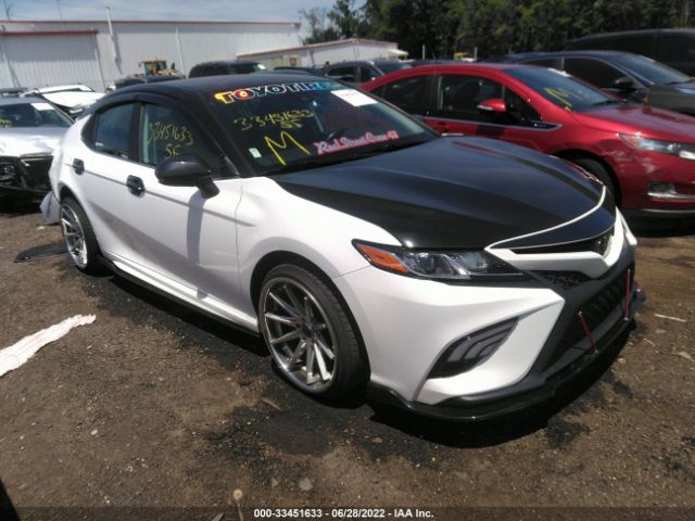 TOYOTA CAMRY 2019 4t1b11hk5ku764175