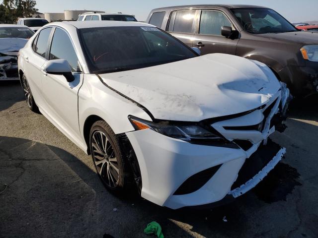 TOYOTA CAMRY L 2019 4t1b11hk5ku799315