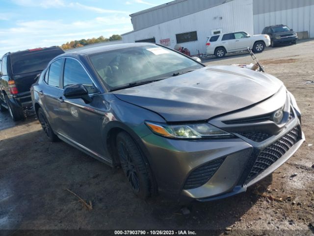 TOYOTA CAMRY 2019 4t1b11hk5ku805503