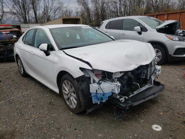 TOYOTA CAMRY L 2019 4t1b11hk5ku809664