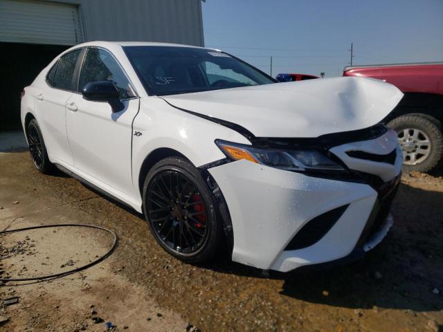 TOYOTA CAMRY L 2019 4t1b11hk5ku815562