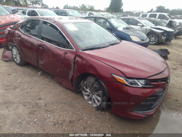 TOYOTA CAMRY 2019 4t1b11hk5ku827579