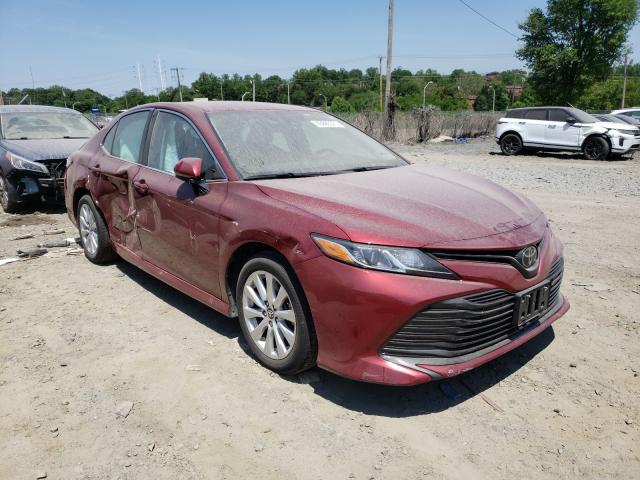 TOYOTA CAMRY L 2019 4t1b11hk5ku834001